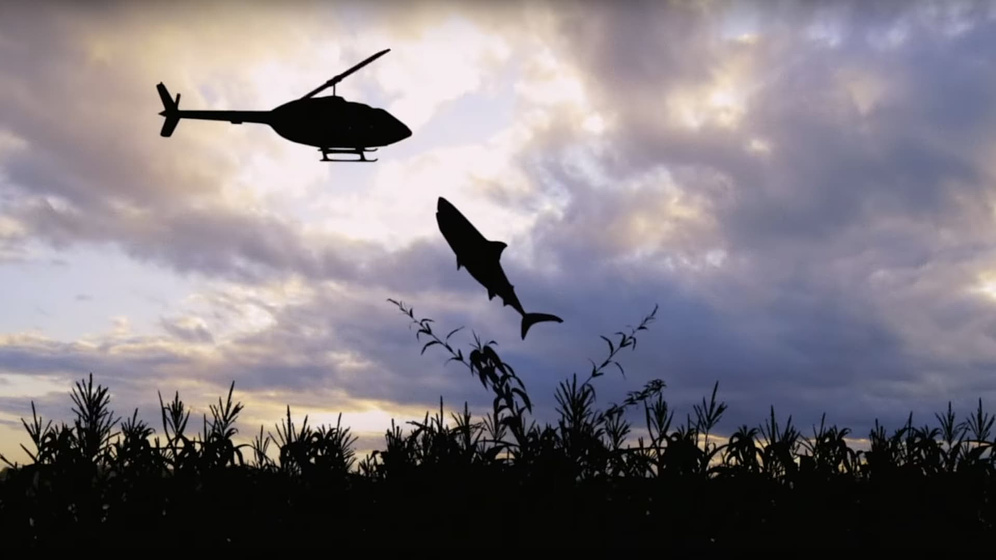 Imagen de Sharks of the Corn