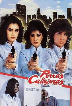 poster of movie Perras Callejeras