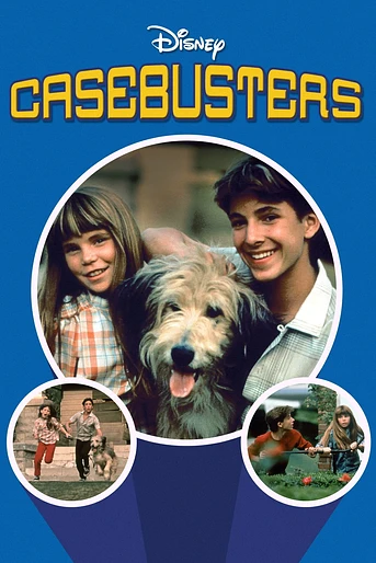 Poster de Falsificadores