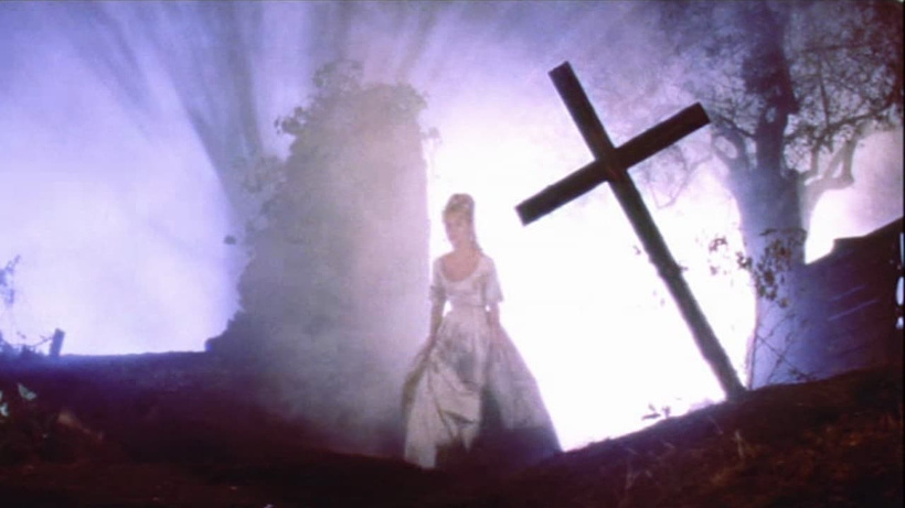 Imagen de Sangre y Rosas