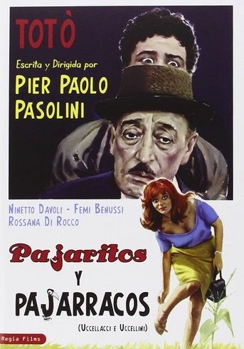 Poster de Pajaritos y pajarracos
