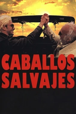 poster of movie Caballos Salvajes