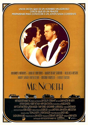 Poster de Mr. North