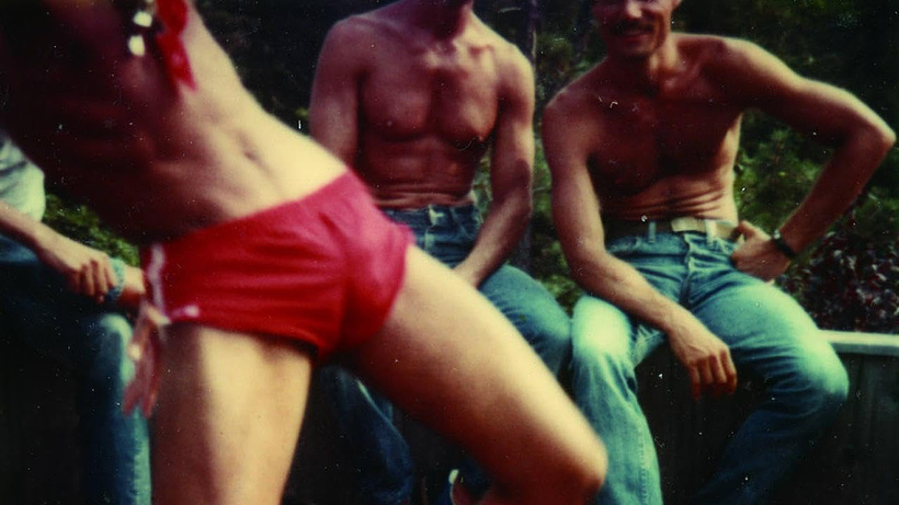 Imagen de Gay Sex in the 70s