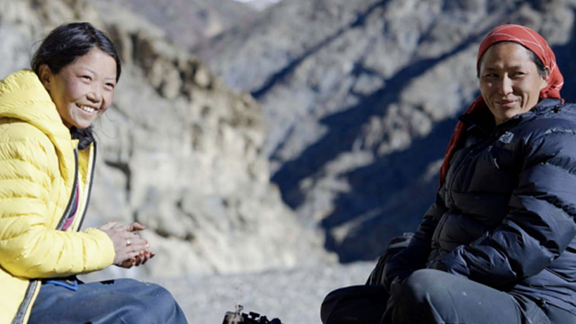 Imagen de Snow Leopard Sisters