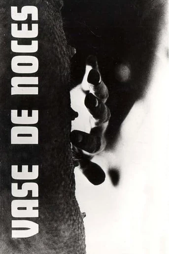 Poster de Vase de Noces