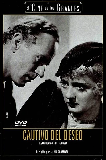 Poster de Cautivo del Deseo