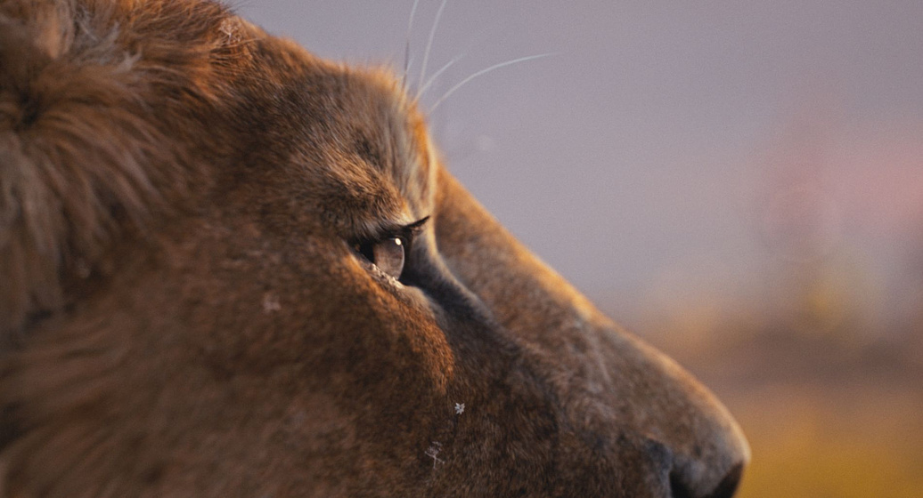 Imagen de Mufasa. El Rey León