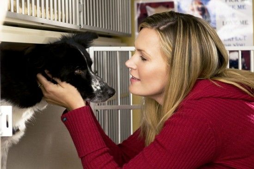 Natasha Henstridge en Toda una Vida Juntos