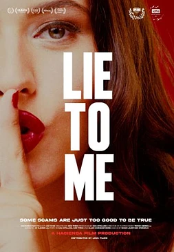 poster of movie Lie to me