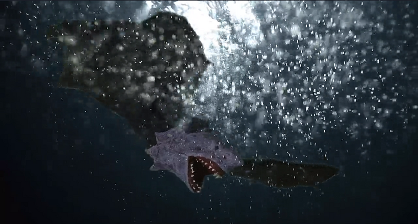 Imagen de Sharkula