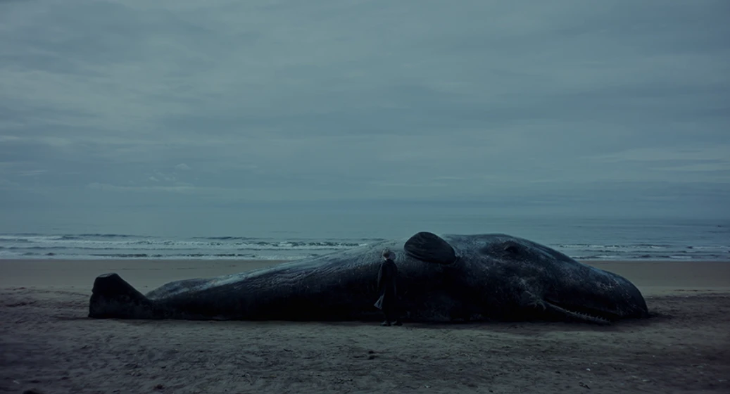 Imagen de una-ballena