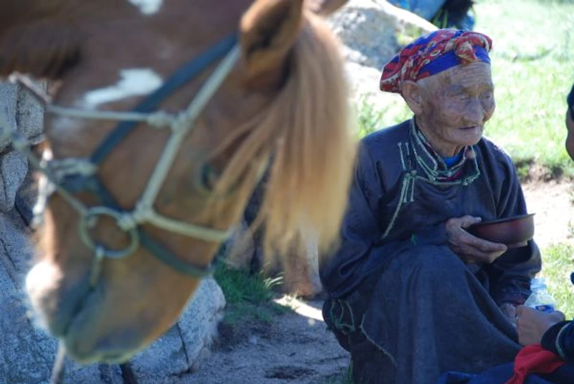 Imagen de los-dos-caballos-de-gengis-khan