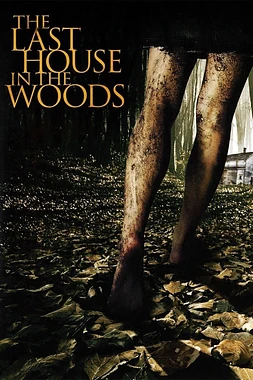 poster of movie La última casa del bosque