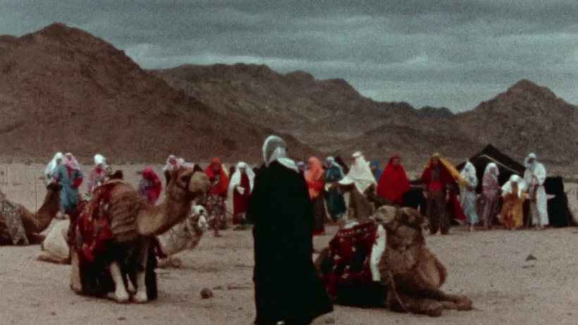 Imagen de The Burning Hell