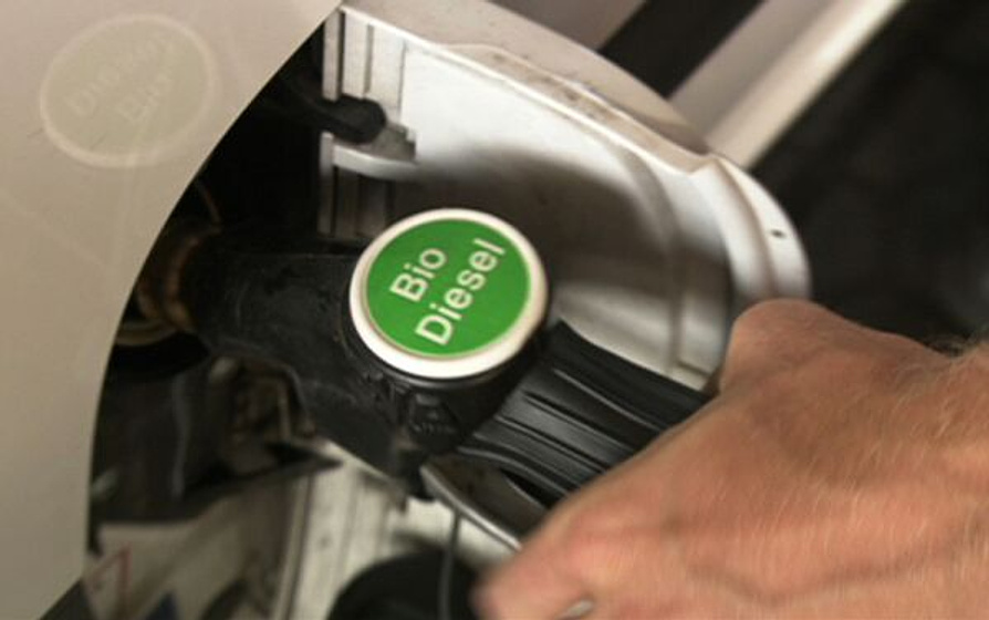 Imagen de Fuel
