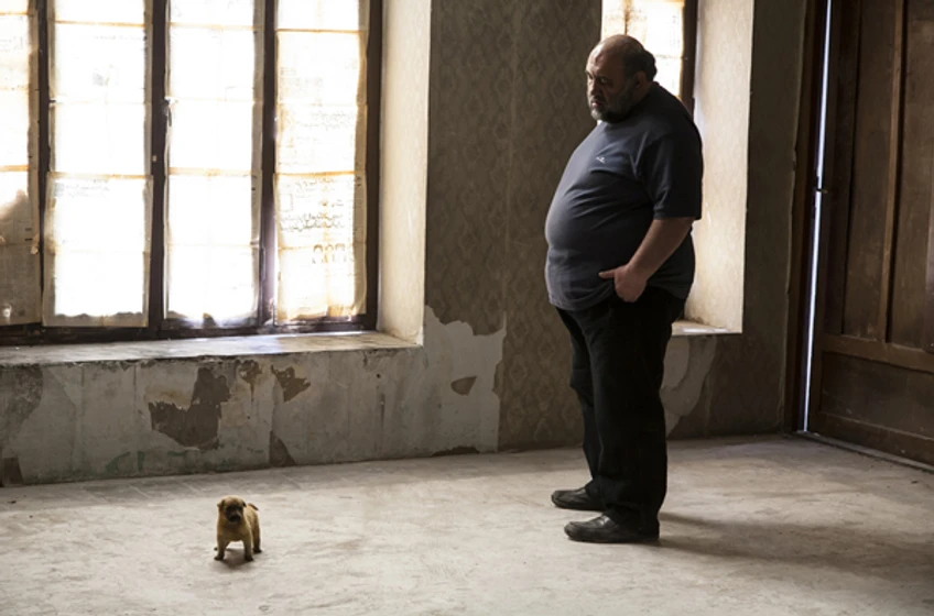 Imagen de parviz