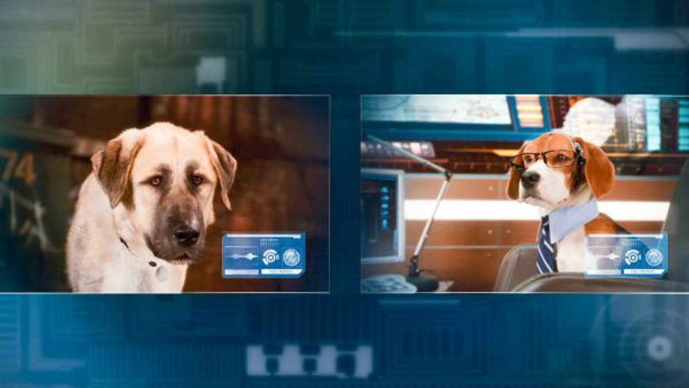 Imagen de Como perros y gatos. La Revancha de Kitty Galore