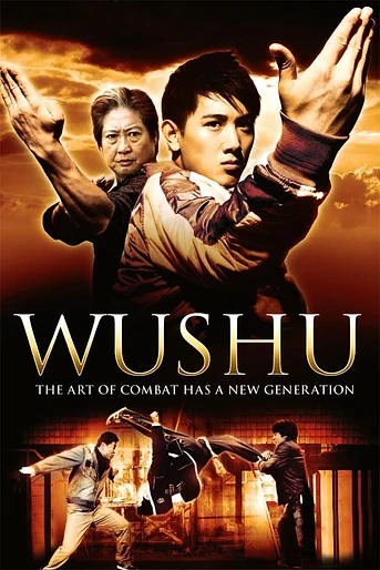 Poster de Wushu