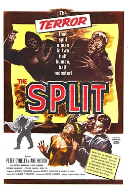 poster of movie The Manster