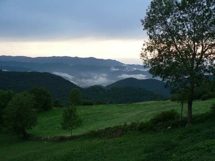 Imagen de El Somni