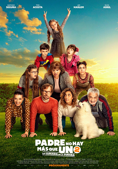 Imagen de Padre no hay más que uno 2. La Llegada de la Suegra (Cartel final español)