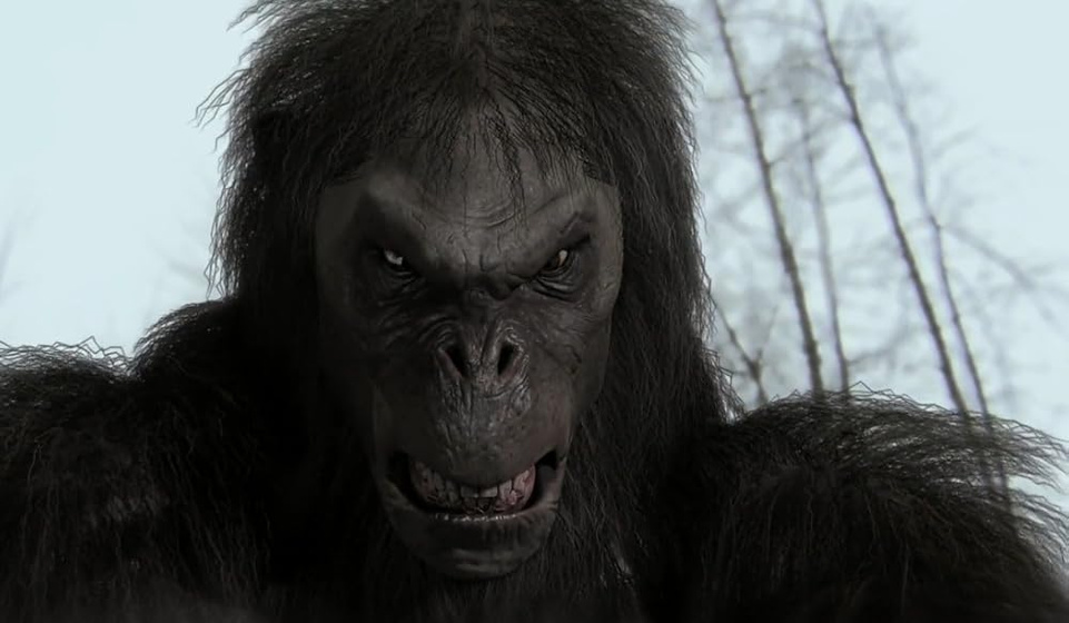 Imagen de bigfoot