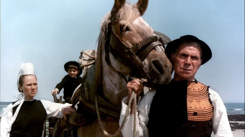 Imagen de El Caballo del Orgullo