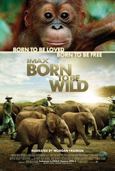 Imagen de born-to-be-wild (Cartel)