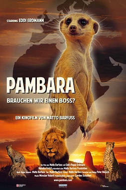 Pambara