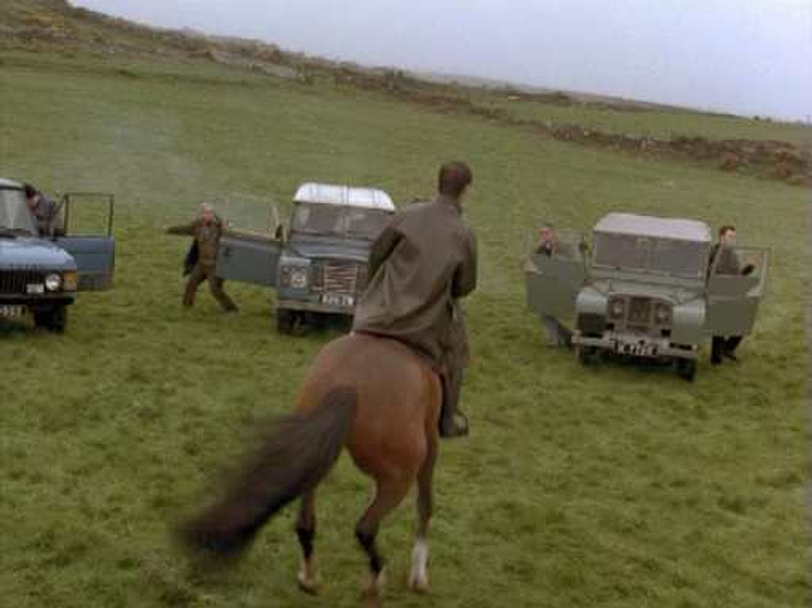 Imagen de Shergar