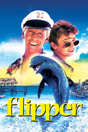 poster of content Flipper