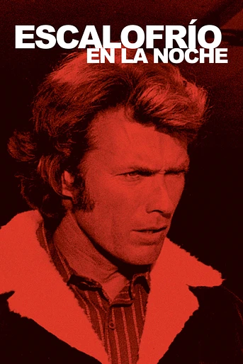 Poster de Escalofrío en la Noche