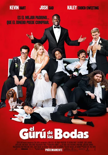 Poster de El Gurú de las bodas