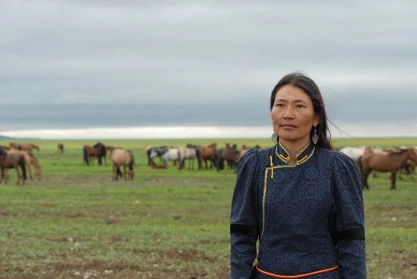 Imagen de los-dos-caballos-de-gengis-khan