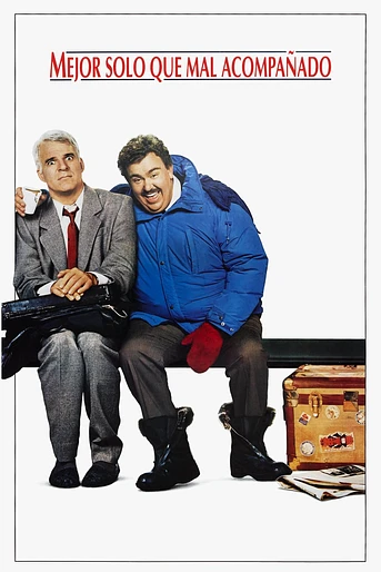Poster de Mejor solo que mal acompañado