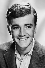 picture of actor Robert Walker Jr.