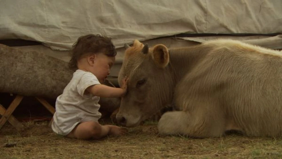 Imagen de bebes