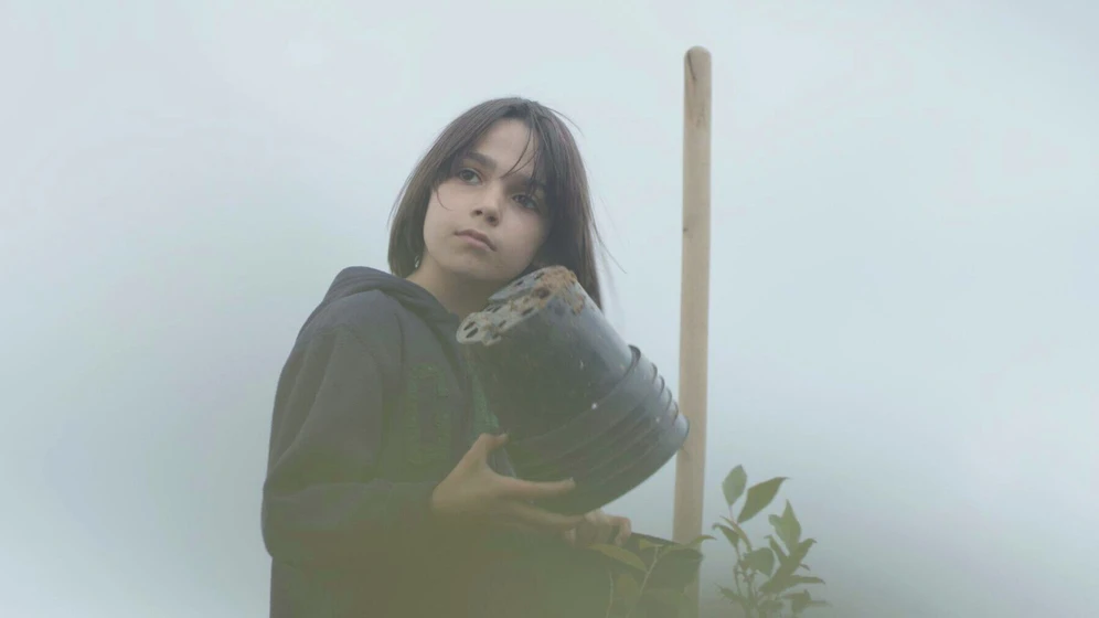 Imagen de blueberry-dreams