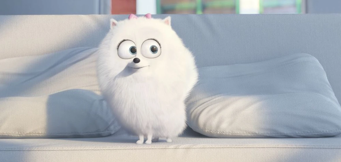 Imagen de mascotas