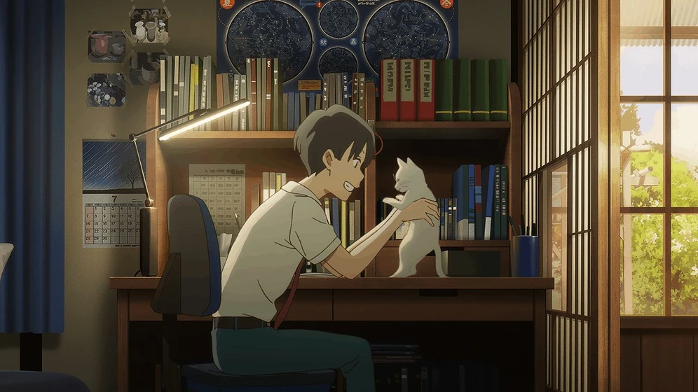 Imagen de amor-de-gata