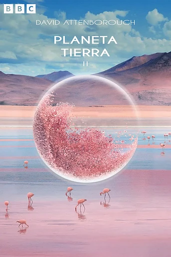 Poster de Planeta Tierra II