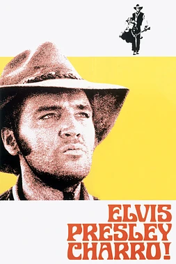 poster of movie Charro