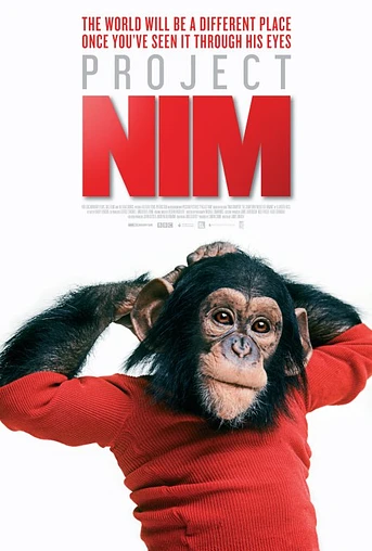 Poster de Proyecto Nim