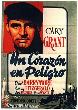 poster of movie Un Corazón en Peligro