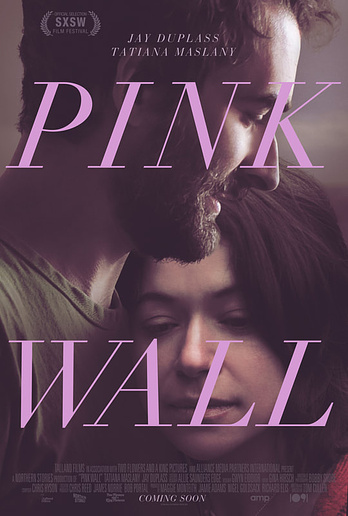 poster of content Pink Wall