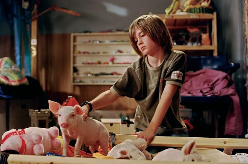 Imagen de Rudy, el cerdito de carreras