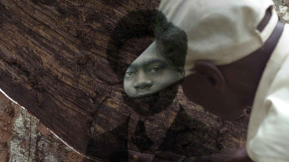 Imagen de The Tree of Authenticity