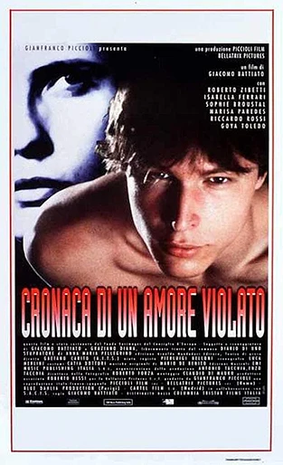Poster de Diario de un Amor Violado