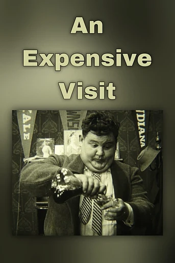 Poster de An Expensive Visit